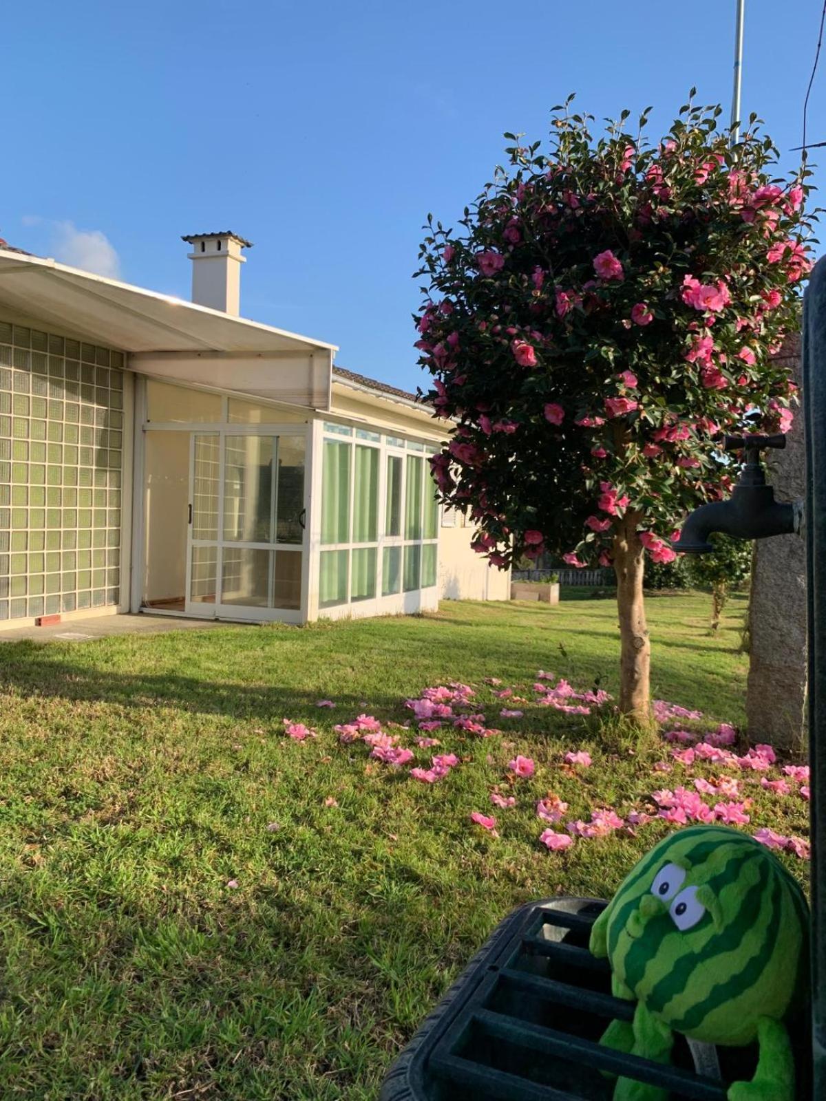 לינה וארוחת בוקר A Casa De Abelleira פונטאראס מראה חיצוני תמונה
