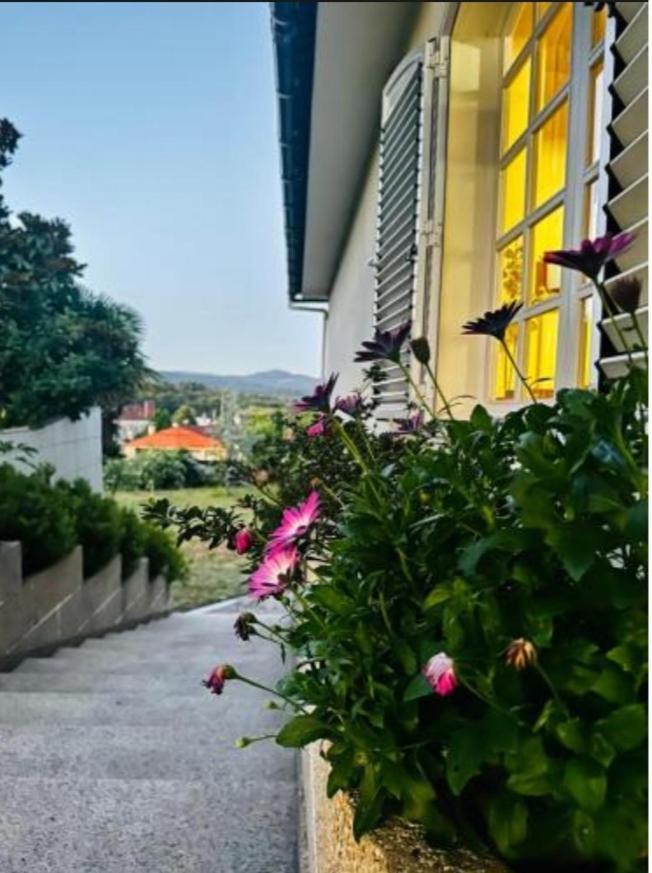 לינה וארוחת בוקר A Casa De Abelleira פונטאראס מראה חיצוני תמונה