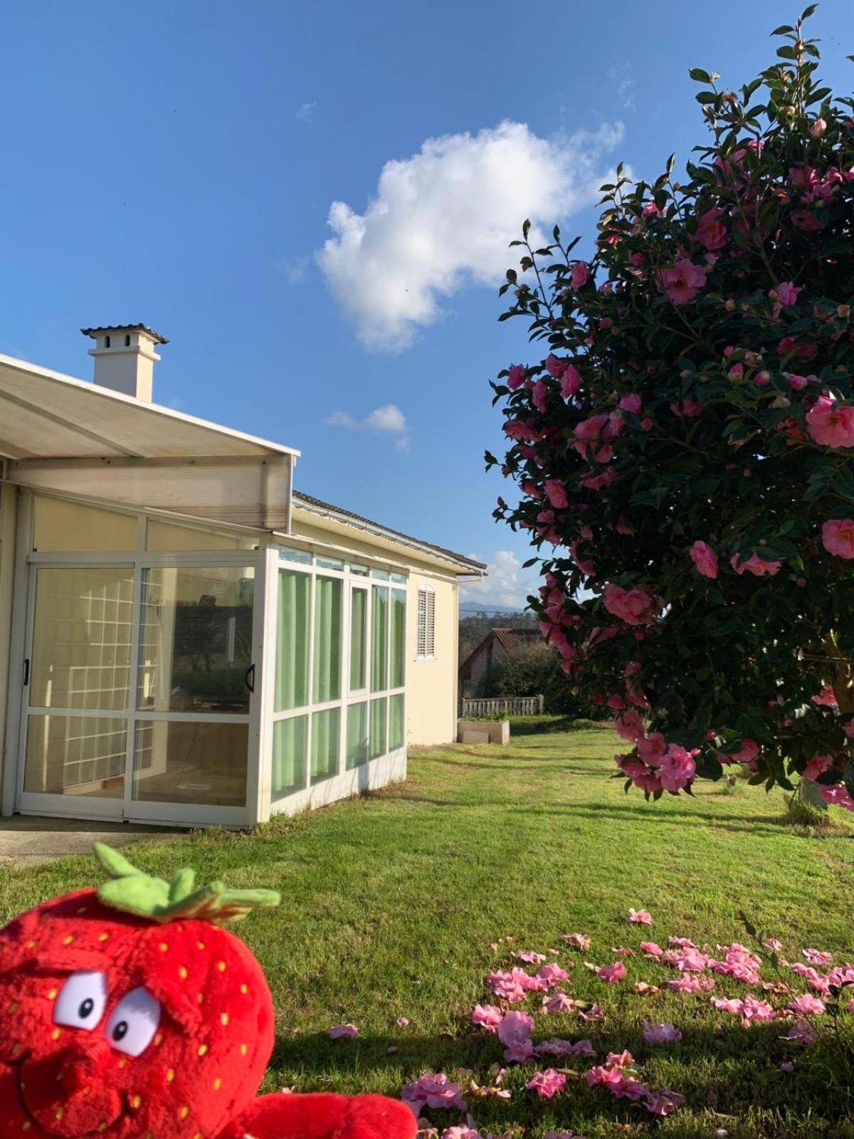 לינה וארוחת בוקר A Casa De Abelleira פונטאראס מראה חיצוני תמונה