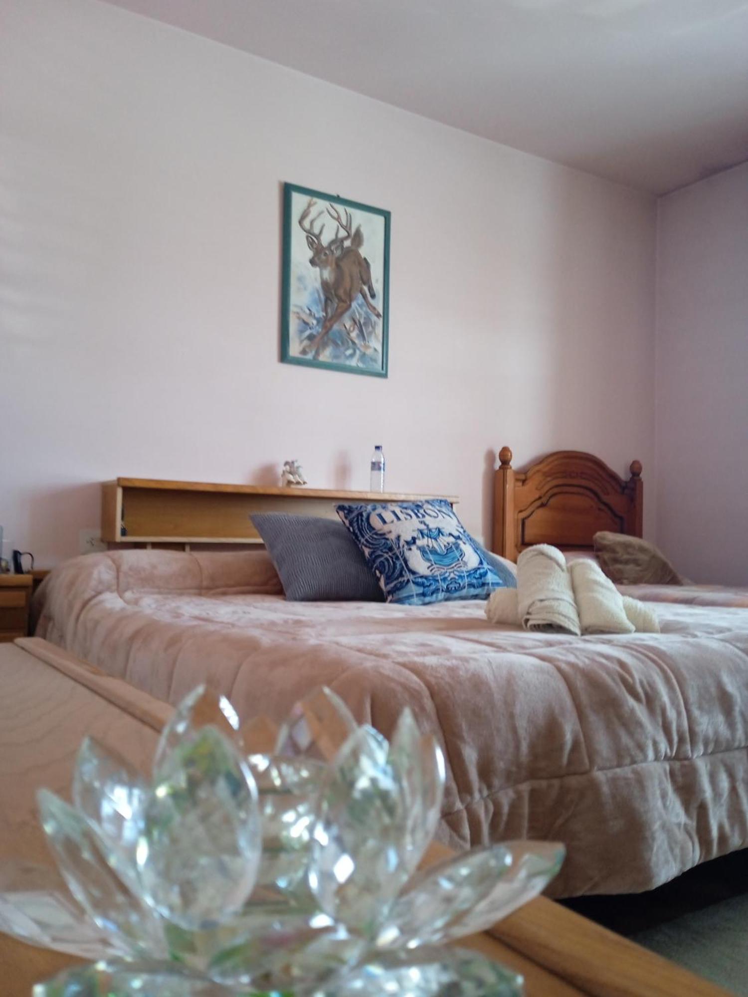 לינה וארוחת בוקר A Casa De Abelleira פונטאראס מראה חיצוני תמונה