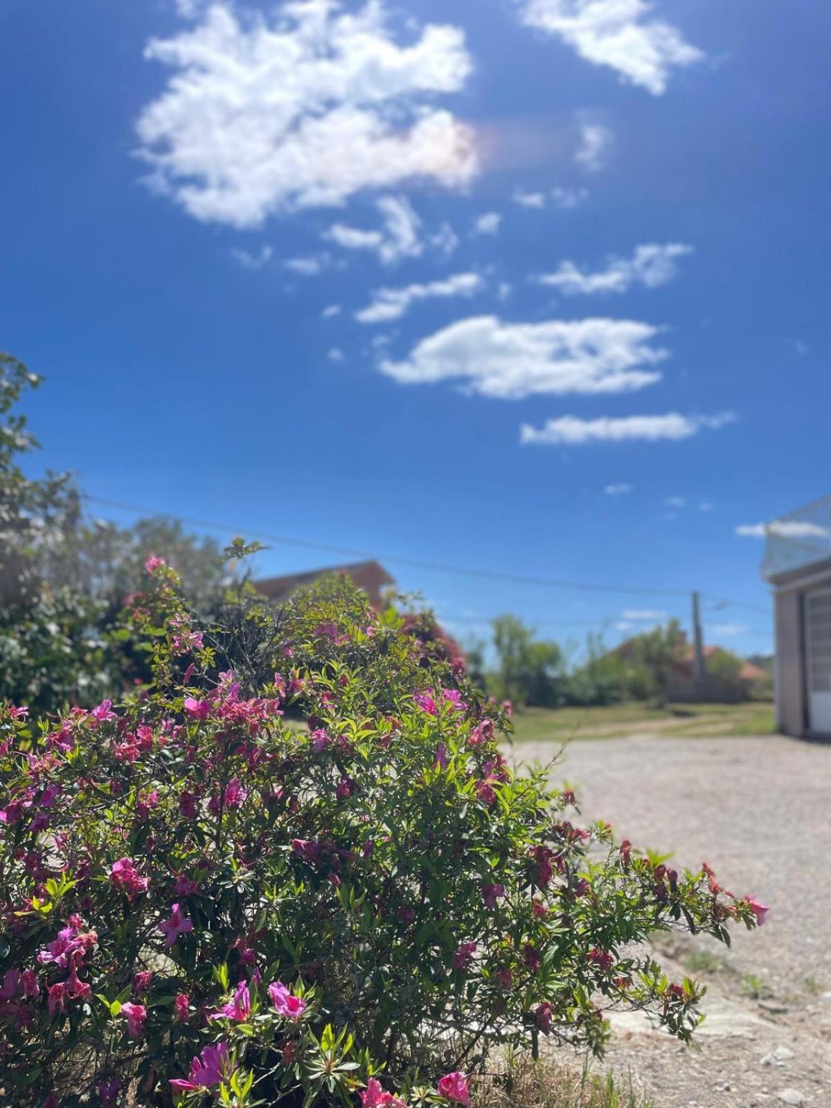 לינה וארוחת בוקר A Casa De Abelleira פונטאראס מראה חיצוני תמונה